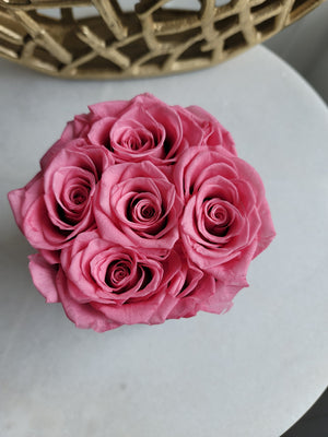 Petite Velvet Bloom Box