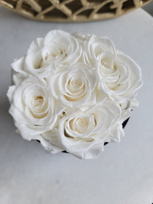 Petite Velvet Bloom Box