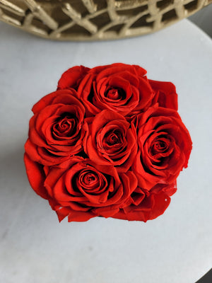 Petite Velvet Bloom Box