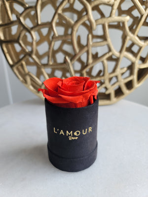 Mini Velvet Bloom Box