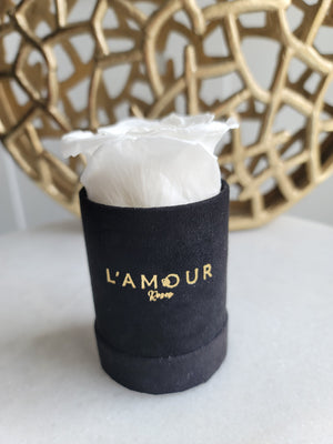 Mini Velvet Bloom Box
