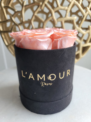 Petite Deluxe Velvet Bloom Box