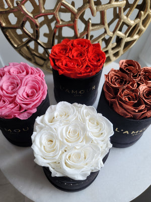 Petite Velvet Bloom Box