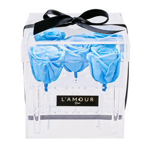 Baby Blue Petite Acrylic Box