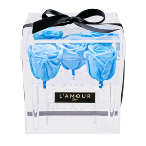 Petite Rose Acrylic Box
