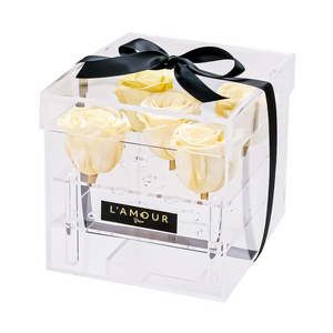 Champagne Petite Acrylic Box