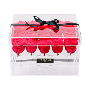 Red Large Acrylic Box