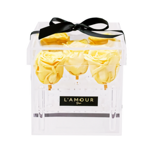 Petite Rose Acrylic Box